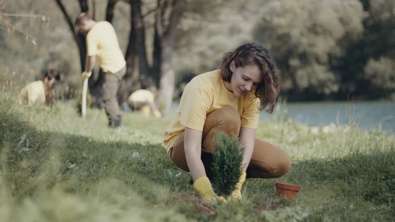 Best Root Management and Removal  in Centerville, TN