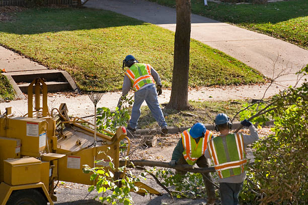 Best Storm Damage Tree Cleanup  in Centerville, TN